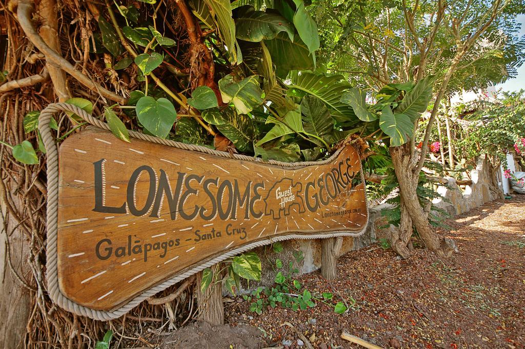 Lonesome George Ecolodge بويرتو أيورا المظهر الخارجي الصورة