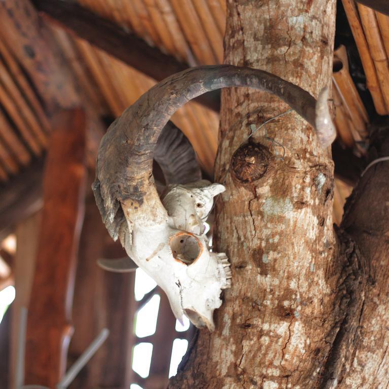 Lonesome George Ecolodge بويرتو أيورا المظهر الخارجي الصورة